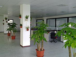 寧波商業(yè)空間裝修指南 辦公室、門(mén)面與店面施工要點(diǎn)解析